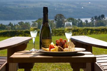 Setúbal Wine Tasting Full-Day Small-Group Tour from Lisbon