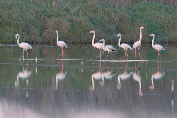 Sustainable - ECO Tourism