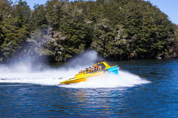 30-Minute Beach to Bay Jet Boat Experience from Te Anau