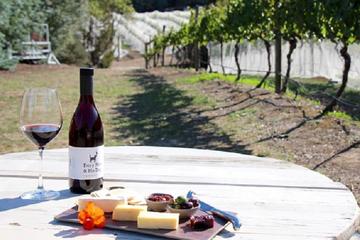 Full-Day Small-Group Wild Hobart Tour with Lunch