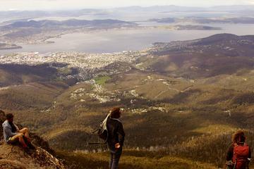 Hobart Hike: Mt Wellington Summit to Cascade Brewery Walk Including Gourmet Lunch