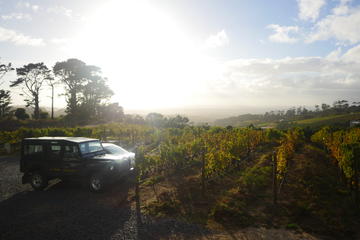 Private: Full Day Ultra-Premium Wine Tour from Cape Town to Constantia