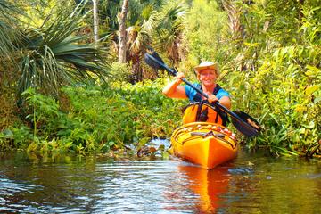 Wekiva River Kayak Tour