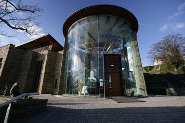 2-Hour Tour of Downpatrick including Saint Patrick Centre