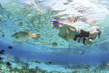 Private Stingray City and Snorkeling Full Day Charter