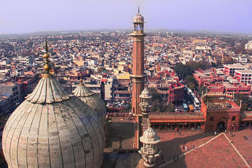 Old Delhi Tour