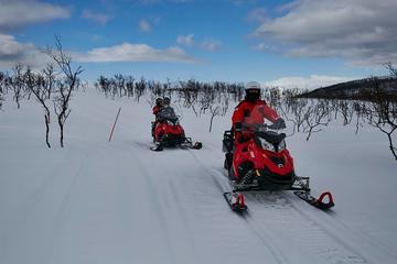 Arctic Sea and Lyngen Alps Snowmobile Expedition from Tromso