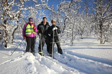 Cross-Country Skiing in Tromso