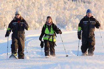 Snowshoe Tour in Arctic Tromso