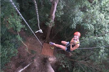 2.5-Hour Umgawa Zipline Tour on Langkawi