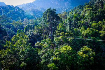 Guided Jungle Flight Zipline Tour on Langkawi Island