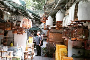 Private Half Day Tour: Hong Kong Local Markets Hopper
