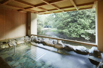 Kaiseki Lunch and Hot Springs Tour