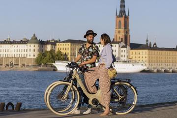 Stockholm E-Bike Tour with GPS - 1 Day