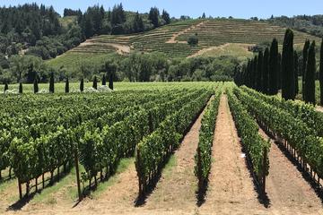 Wine Country Small-Group Tour from San Francisco with Tastings