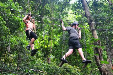 Combo Tijuca Forest Tour and Tree Canopy Ride for Small Groups