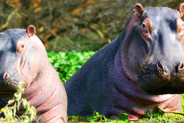 2 days Tour to Hell's Gate, Lake Naivasha & Crescent Island