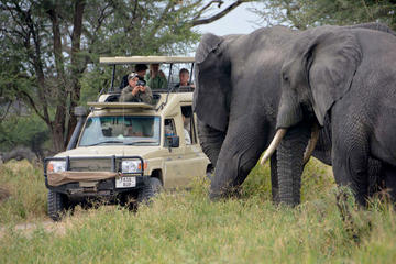5Days Best Camping Safari in Tanzania Parks