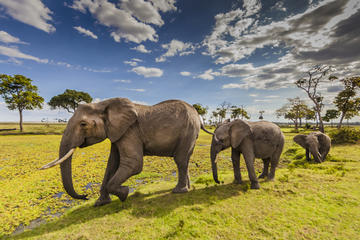 5days: Hell's Gate, Lake Naivasha, Lake Nakuru & Masai Mara Camping Safari
