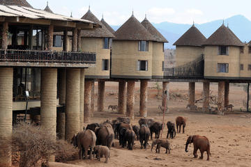 6 Days Amboseli Tsavo West Tsavo East Mombasa luxury lodge safari