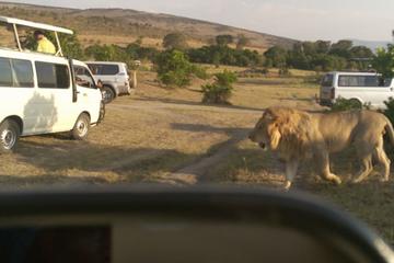 6Day Masai Mara, Hell's Gate, Lake Naivasha, Giraffe Center & Elephant Orphanage