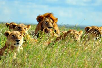 7days Breathtaking Kenya Safari
