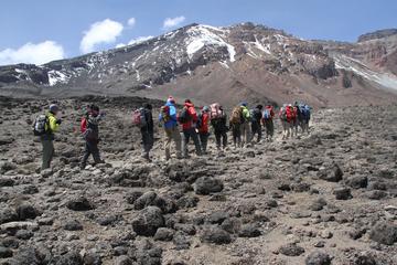 Trek Mount Kilimanjaro through Marangu Route