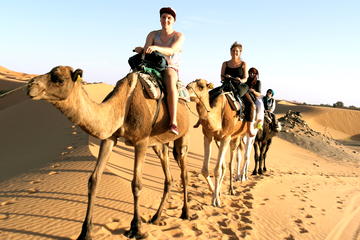 Camel ride and walking