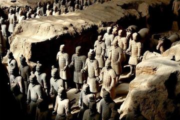 Private Day Tour With English-Speaking Driver-Guide For Terracotta Warriors And City-Wall Biking