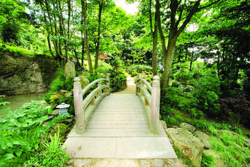 Lafcadio Hearn Japanese Gardens Admission Ticket and Tour