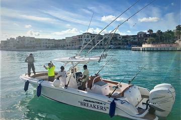 Private Deep sea Fishing Tour Punta Cana - Cap Cana (29 ft)