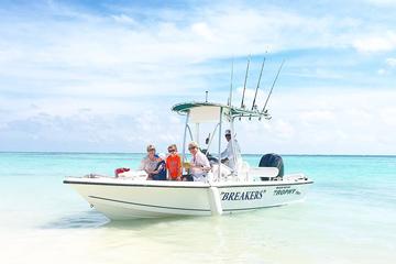 Punta Cana Private Snorkeling Excursion