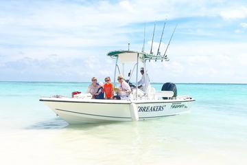 Semi-Private Snorkeling Excursion - Motor boat Trophy 21 ft - Punta Cana