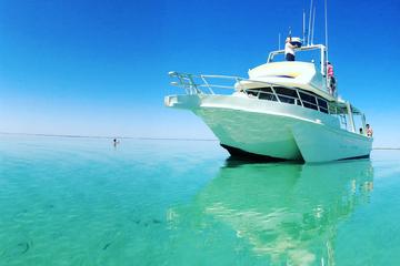Half-Day Streaky Bay Ocean to Plate Tour