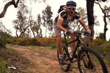 Algarve Downhill Off-road Bike Tour from Mount Foia