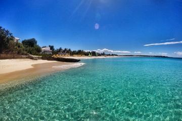 Private Half Day Cruise of St Martin or Anguilla