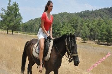 Marmaris Horse Safari