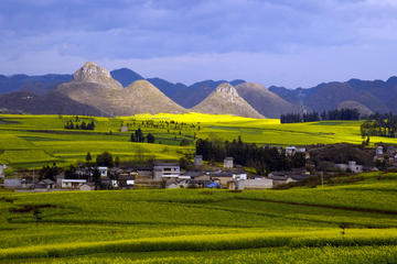 5 Days Luoping Golden Canola Flower Tour
