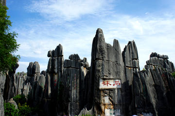 All Inclusive Private Kunming Day Tour to Stone Forest plus Flower and Bird Market
