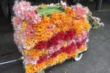 Half Day Flower Tour in Kunming