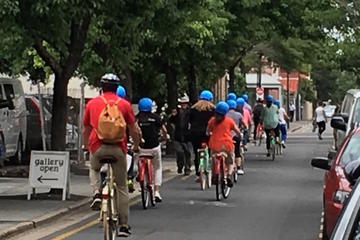 Adelaide Central Market Tour, Picnic, Bikes and City Sights