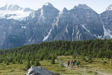 Larch Valley in Lake Louise -Tuesday and Friday Moderate Hike