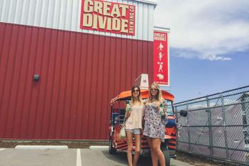 Drink RiNo Craft Brewery Crawl Tour in Denver