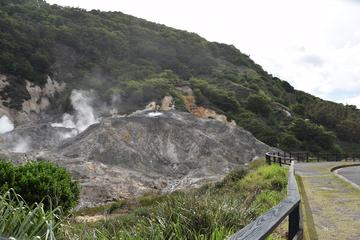 Volcanic Tour and Botanical Gardens