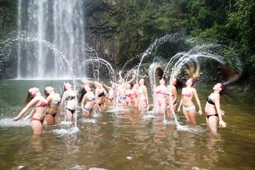 Atherton Tablelands Fun, Falls and Forests Day Trip from Cairns