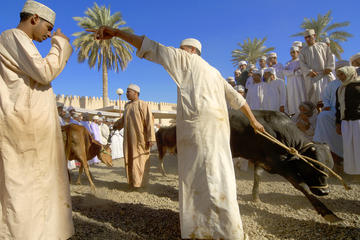 Nizwa TOUR