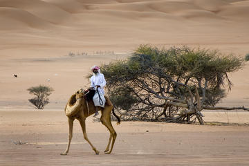 Private Tour of Wahiba Sands Desert with Wadi Bani Khalid by 4X4