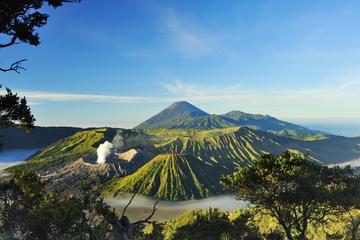 Private 3 Days, 2 Nights Highlights of Malang - Surabaya Tour