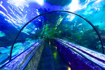 Private Full Day Tour of Fantasy Land in Jakarta