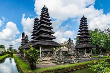 Private Tour: Full-Day Bali Paradise Tour with Monkey Forest Including Buffet Lunch and Dinner
